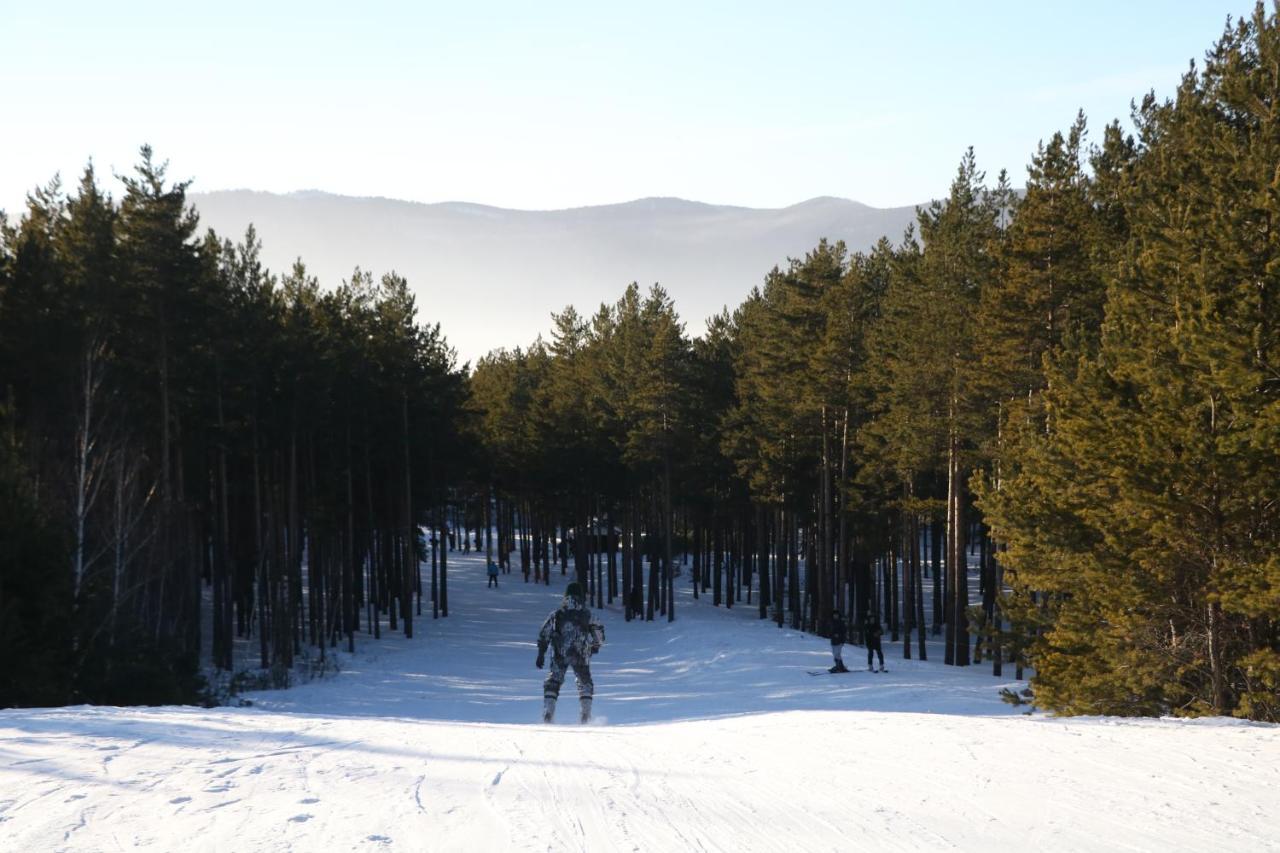 Orman Ski Shchuchinskiy Zewnętrze zdjęcie